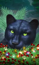 Blue Panther -CE